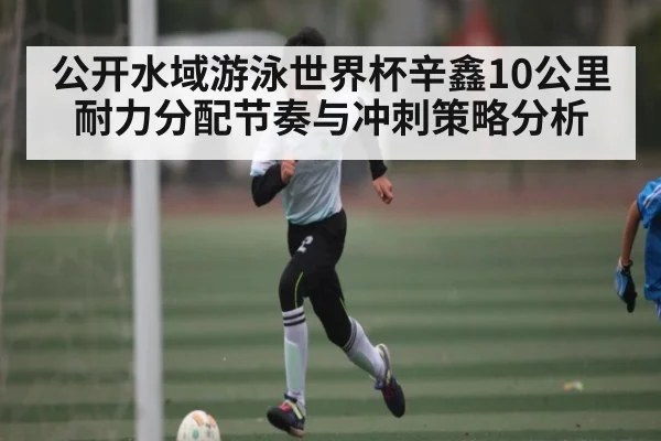 公开水域游泳世界杯辛鑫10公里耐力分配节奏与冲刺策略分析 - c7c7
